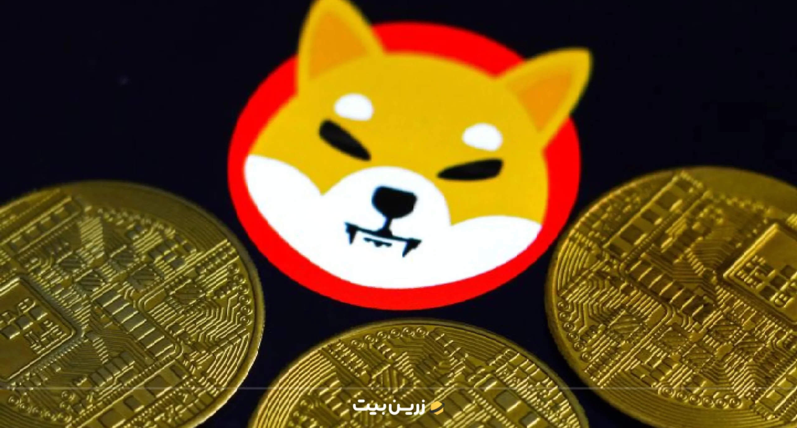 فاست‌های قابل اعتماد برای دریافت شیبا رایگان