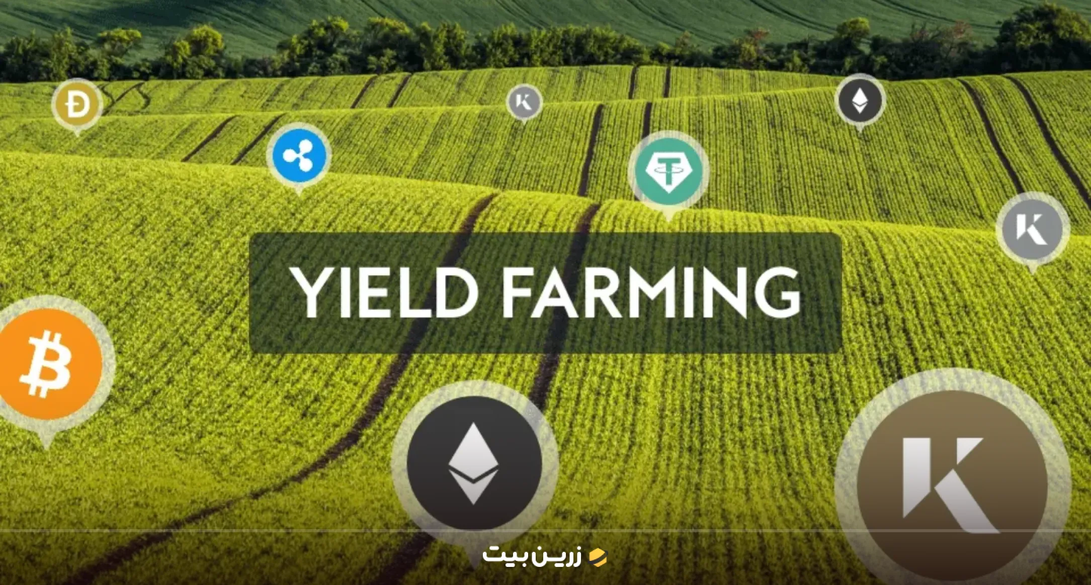 نحوه کارکرد ییلد فارمینگ
