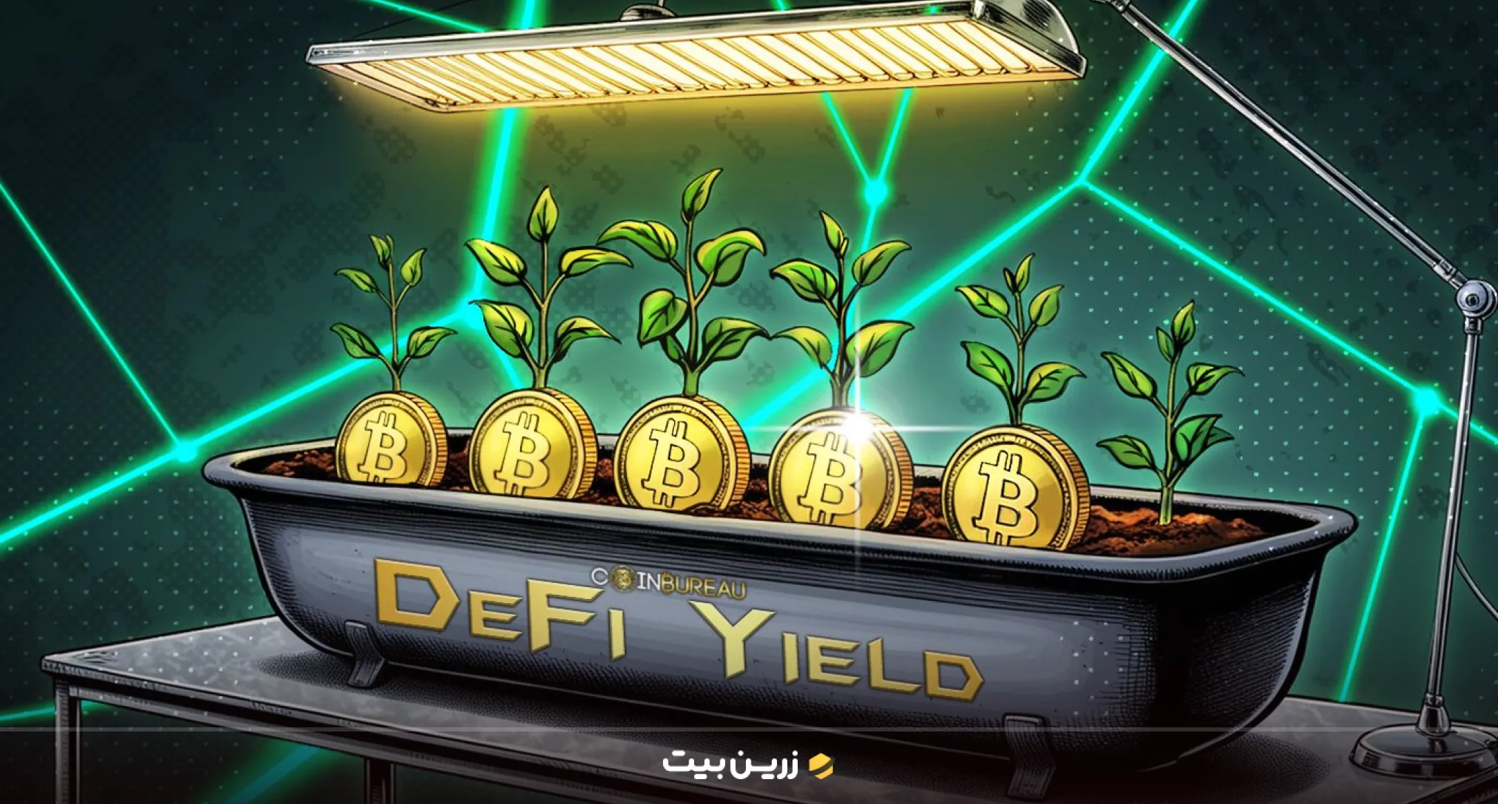 پروتکل‌های قابل استفاده برای ییلد فارمینگ