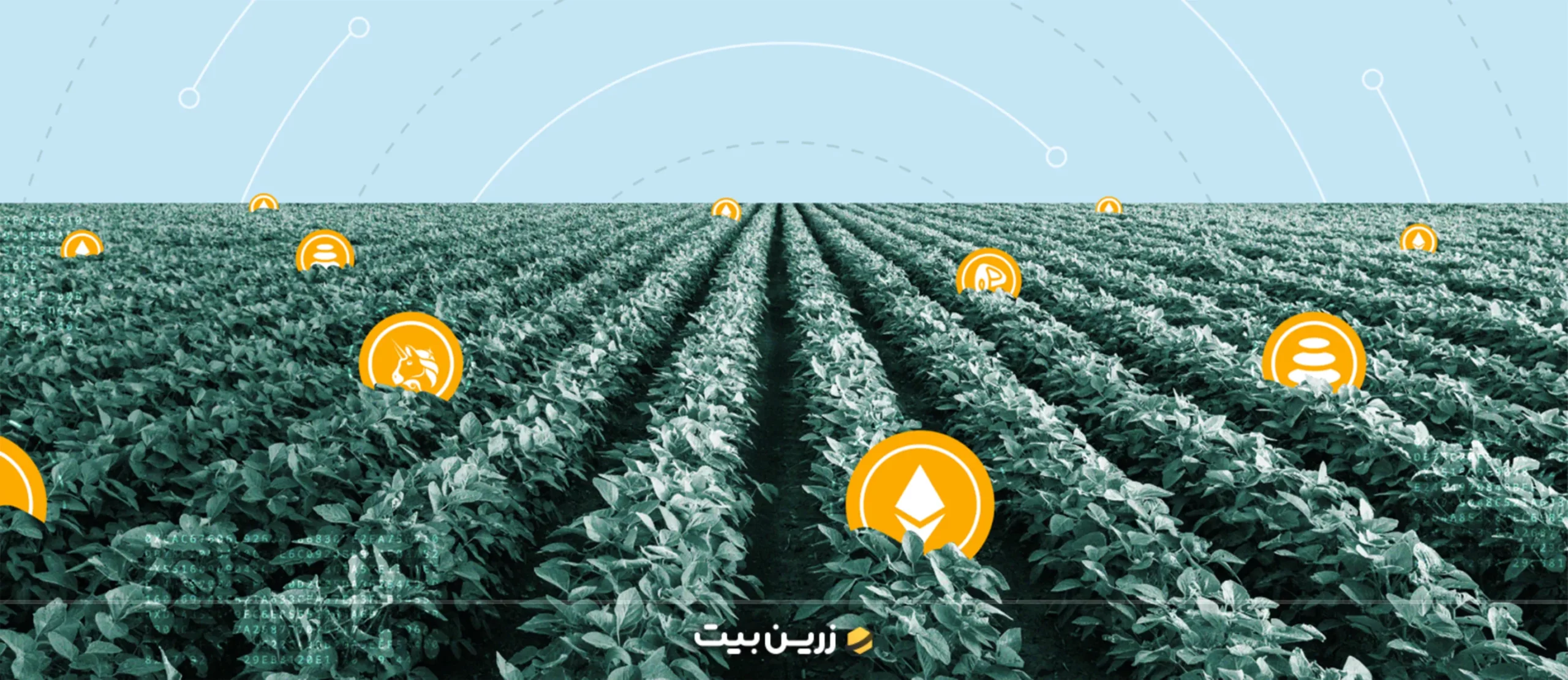 ییلد فارمینگ