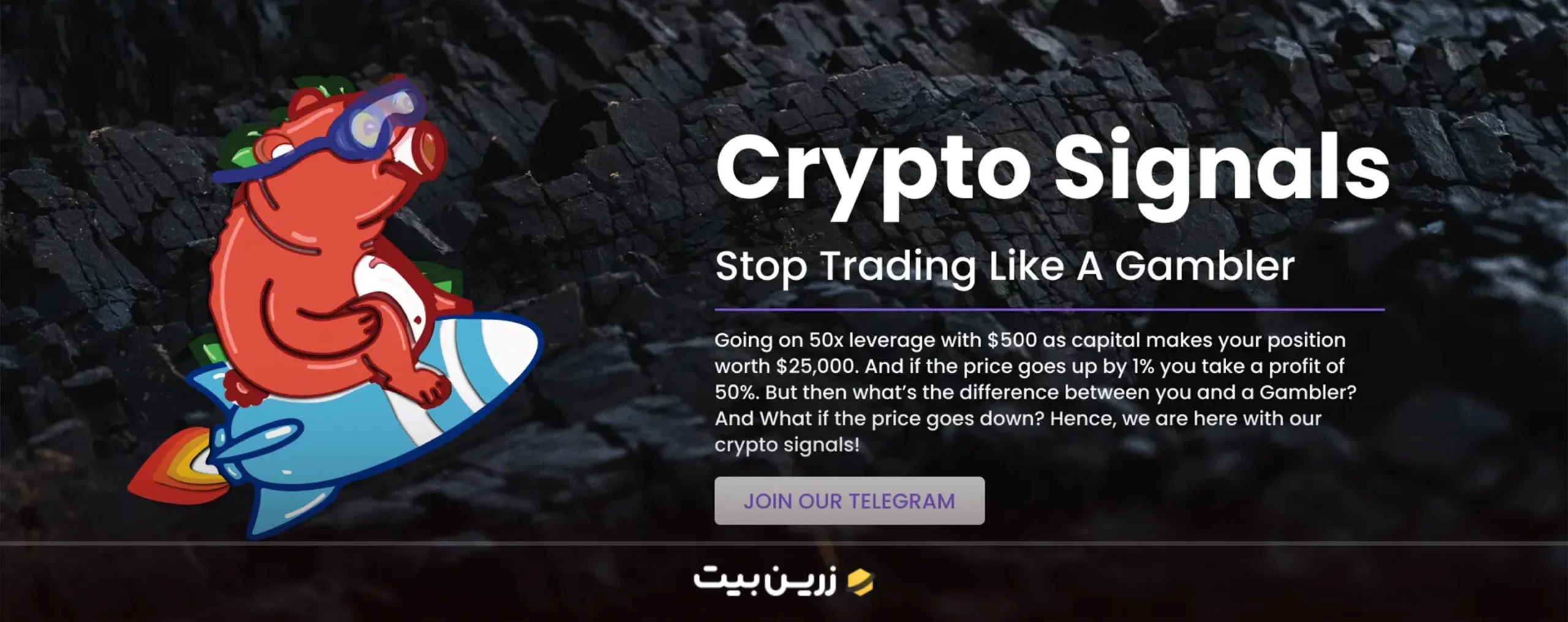 پلتفرم CoinCodeCap Signals