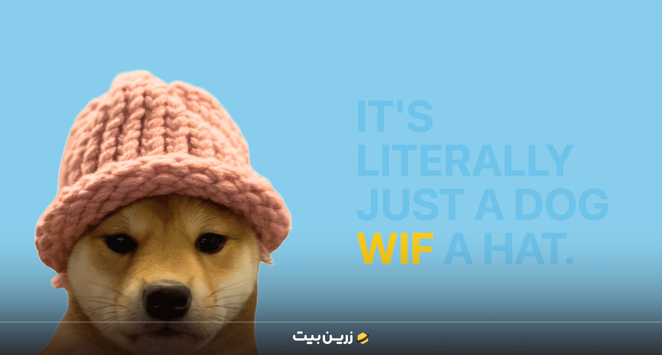 داگ ویف هت (WIF) بهترین میم کوین ها برای سرمایه گذاری