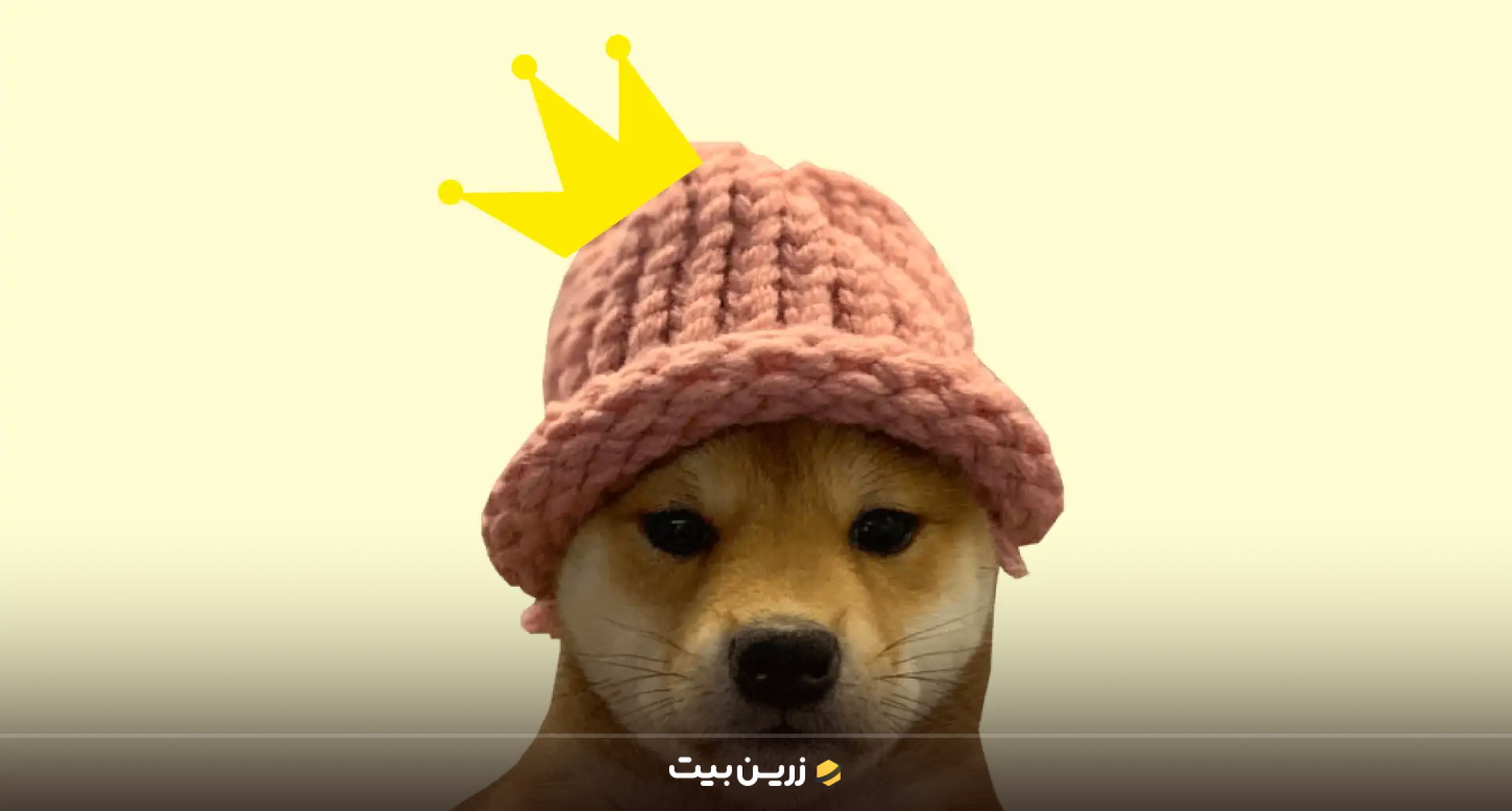 داگ ویف هت (WIF) از بهترین میم کوین های سولانا